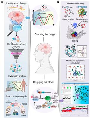 Integrated bioinformatics and interaction analysis to advance chronotherapies for mental disorders